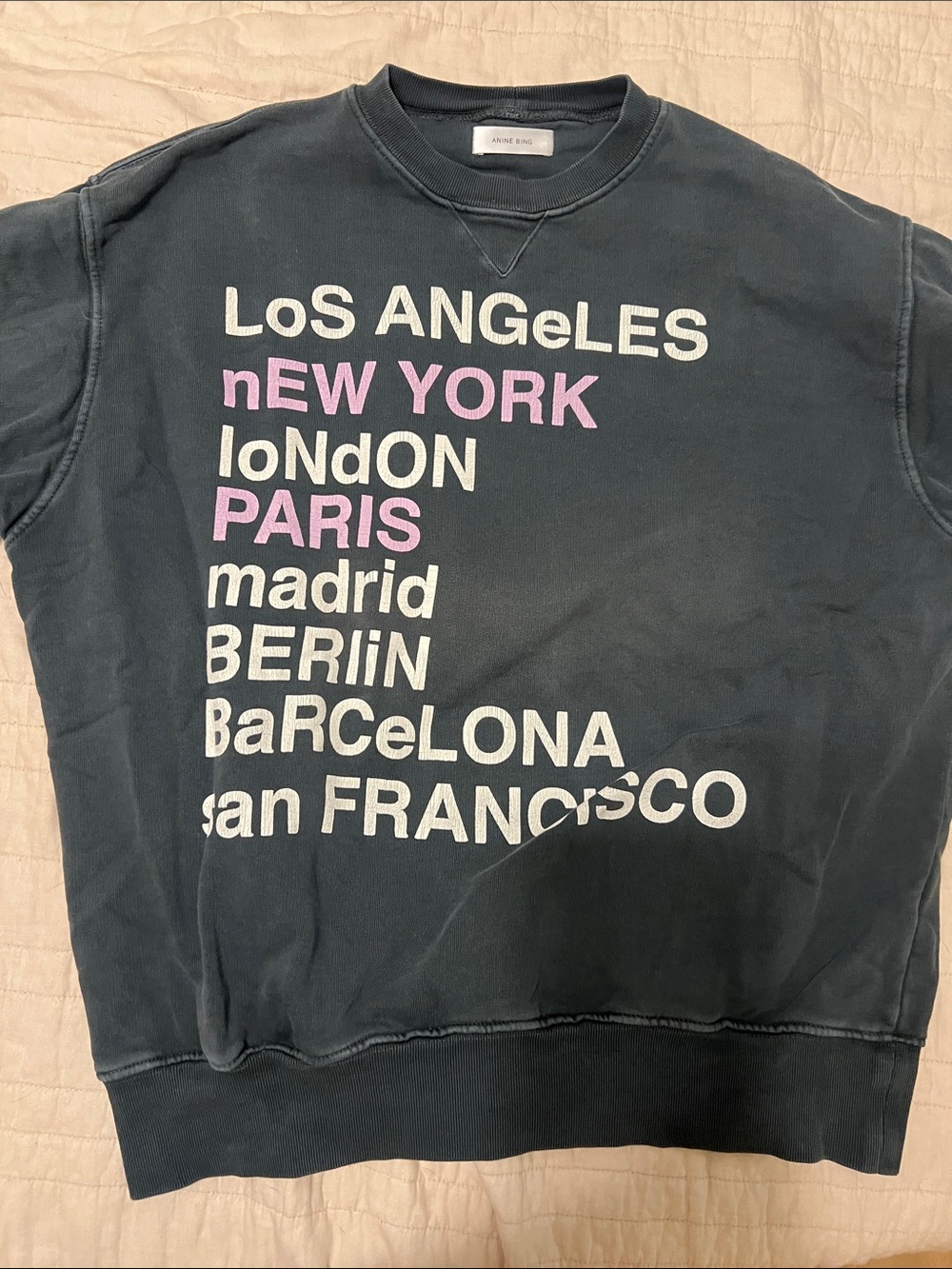 Anine Bing Black Crewneck City Print Sweatshirt with Pink & White Text